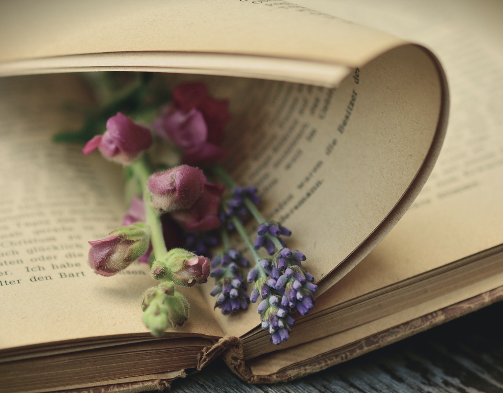 5 Tips for Writing Villains that your Readers Will Love to Hate