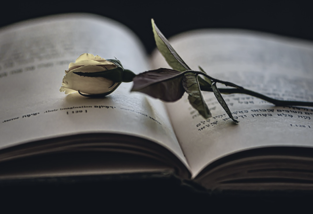 Creating Emotions in Characters - Making Readers Feel Every Moment