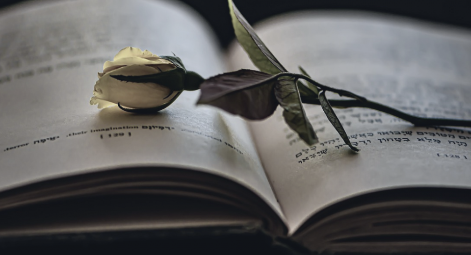 Creating Emotions in Characters - Making Readers Feel Every Moment