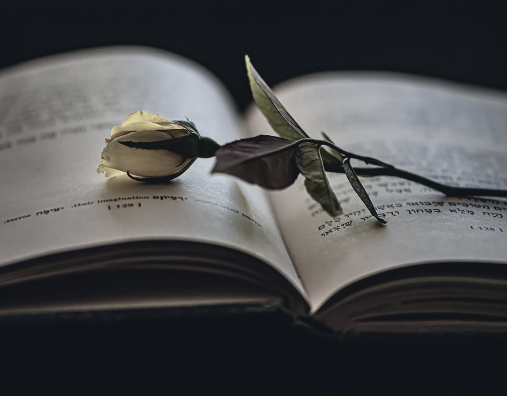 Creating Emotions in Characters - Making Readers Feel Every Moment