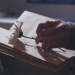 What Are the 6 Common Archetypes?