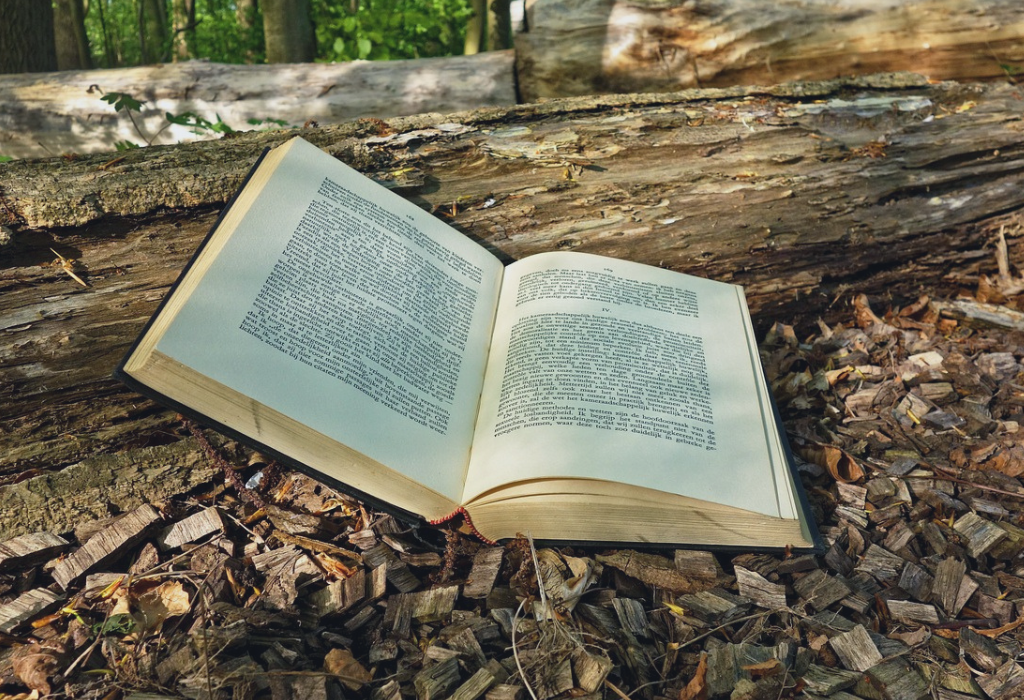 What Are the 6 Common Archetypes
