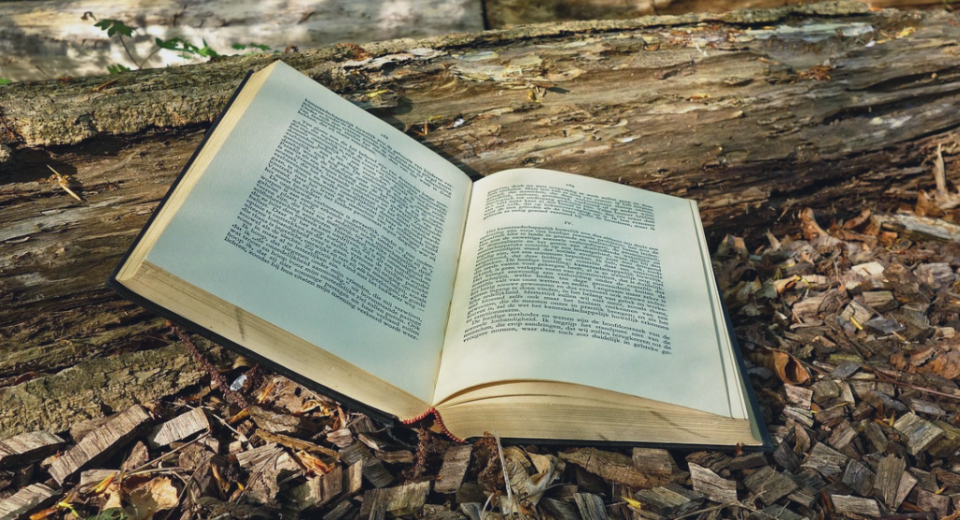 What Are the 6 Common Archetypes