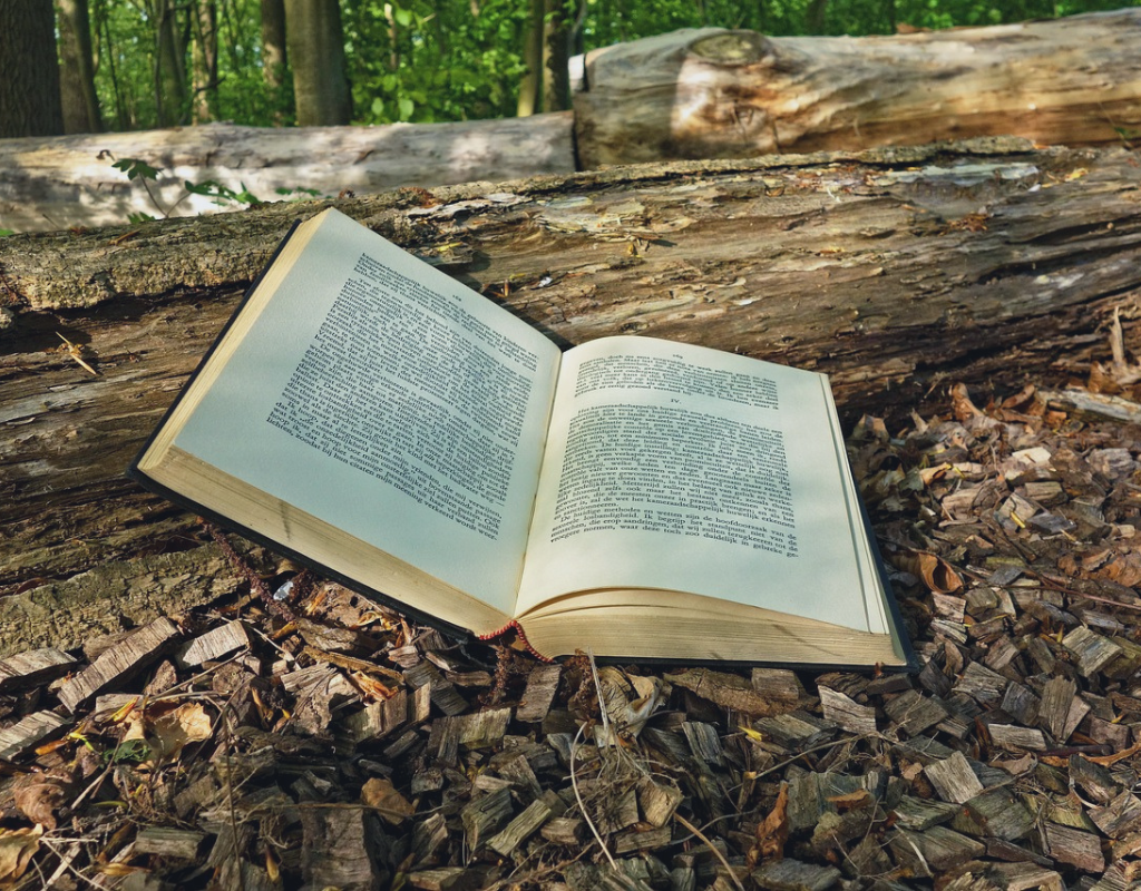 What Are the 6 Common Archetypes