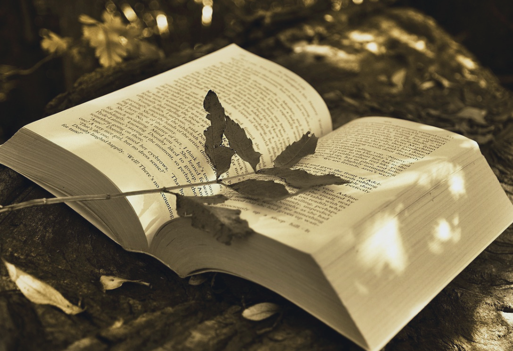 Writing Dialogue in a Story