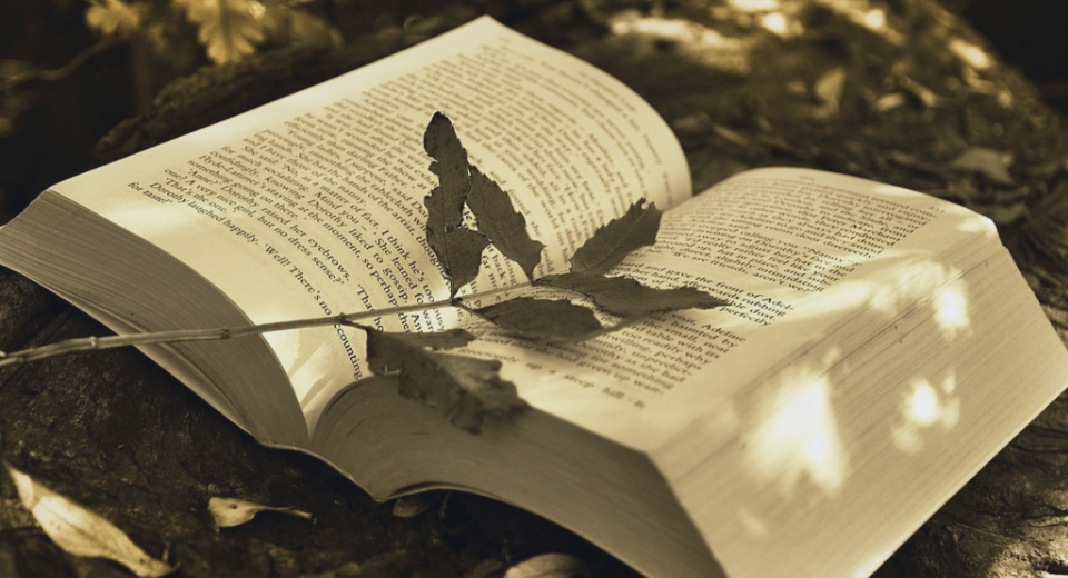 Writing Dialogue in a Story