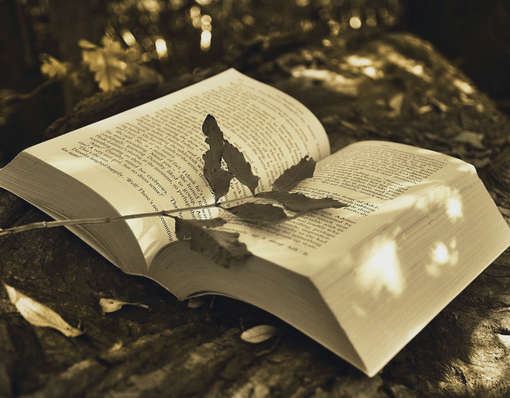 Writing Dialogue in a Story